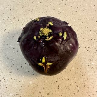 황도란님의 장터이야기 · 장터후기 작성글 사진