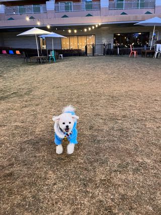 갱낸 갱얼쥐님의 기타작물 · 자유게시판 작성글 사진