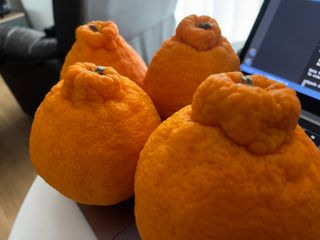 심규영님의 장터이야기 · 장터후기 작성글 사진