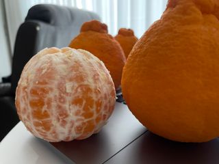 심규영님의 장터이야기 · 장터후기 작성글 사진