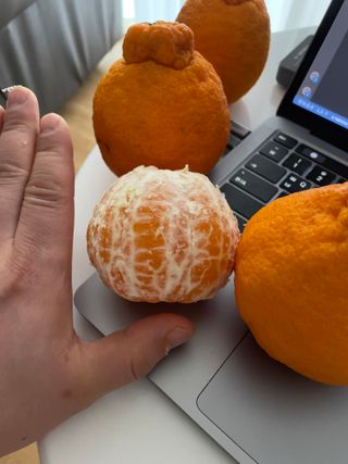 심규영님의 장터이야기 · 장터후기 작성글 사진