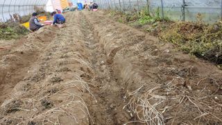 약초를사랑한짱아줌마님의 작성글 사진