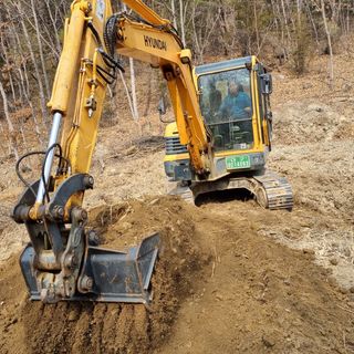 곽철수님의 자두 · 자유게시판 작성글 사진
