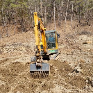 곽철수님의 자두 · 자유게시판 작성글 사진