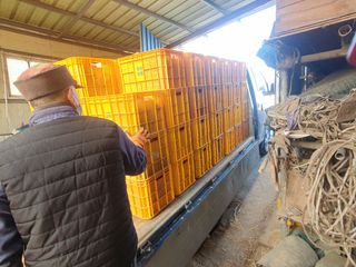 알 수 없음님의 사과 · 일상 작성글 사진