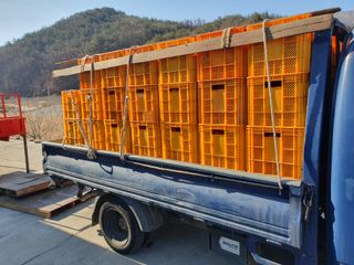 알 수 없음님의 사과 · 일상 작성글 사진