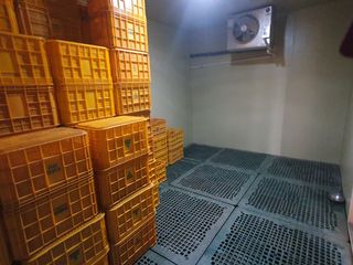 알 수 없음님의 사과 · 일상 작성글 사진