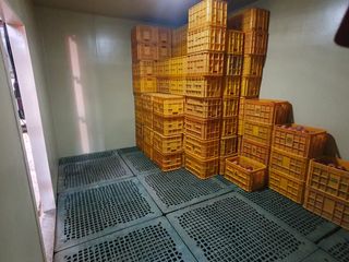 알 수 없음님의 사과 · 일상 작성글 사진