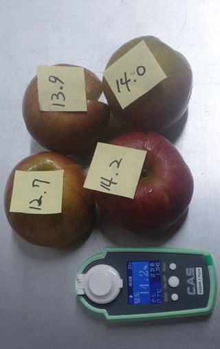 호랑이와인성이님의 사과 · 저장•가공 작성글 사진