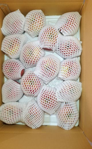 호랑이와인성이님의 사과 · 저장•가공 작성글 사진