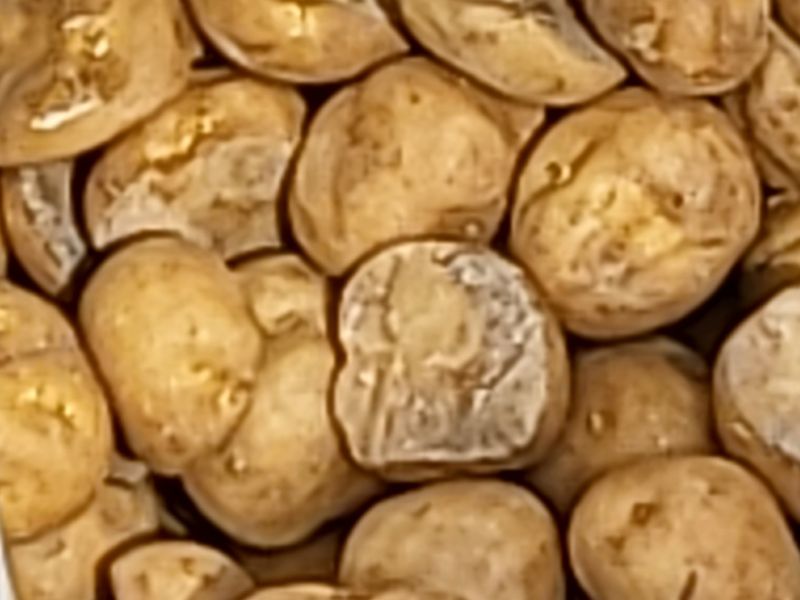 장터 상품 [씨감자 20kg 20box] 썸네일