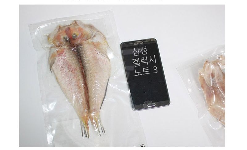 고씨네수산님의 장터 판매 상품 [제주옥돔 4마리] 첨부 사진