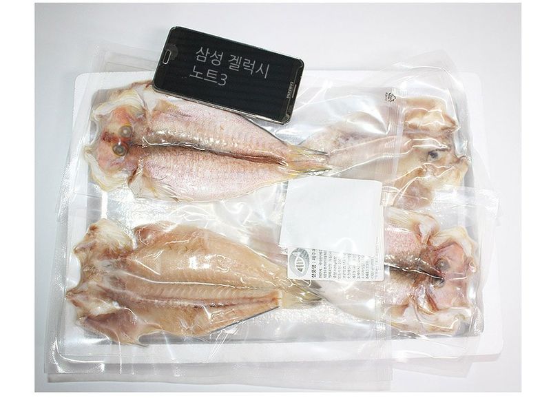 고씨네수산님의 장터 판매 상품 [제주옥돔 4마리] 첨부 사진