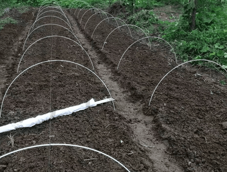 봉주르님의 장터 판매 상품 [미니하우스뽈대 팔아요] 첨부 사진