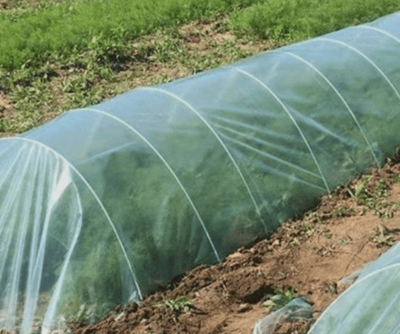 봉주르님의 장터 판매 상품 [미니하우스뽈대 팔아요] 첨부 사진