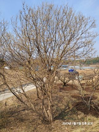 SVAHA5657님의 자유주제 · 자유게시판 작성글 사진