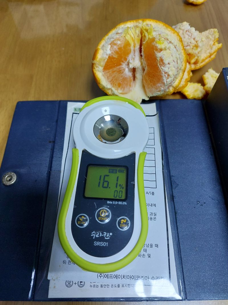 성민감귤농원님의 장터 판매 상품 [한라향5kg] 첨부 사진