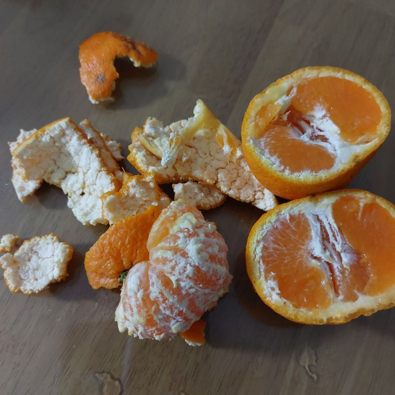 성민감귤농원님의 장터 판매 상품 [한라향5kg] 첨부 사진