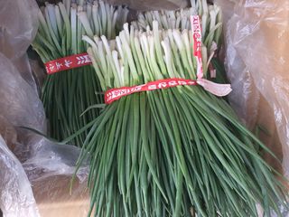 엘림농장님의 고구마 · 자유게시판 작성글 사진