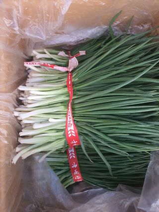 엘림농장님의 고구마 · 자유게시판 작성글 사진