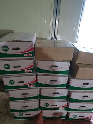 팜모닝회원 바이크농원님의 감자 · 자유게시판 작성글 사진