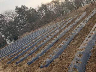 유영선님의 기타작물 · 자유게시판 작성글 사진