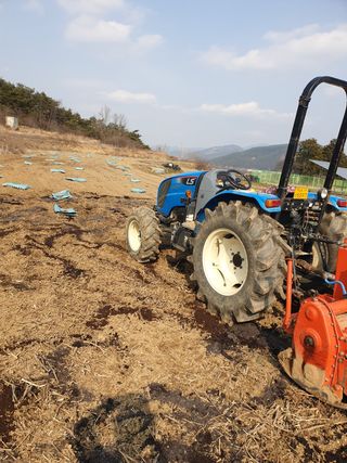 유영선님의 기타작물 · 자유게시판 작성글 사진