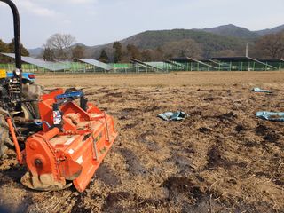 유영선님의 기타작물 · 자유게시판 작성글 사진