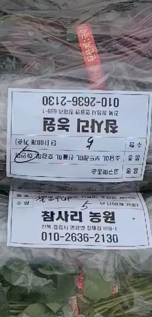 장터 상품 [고구마종순 판매] 썸네일