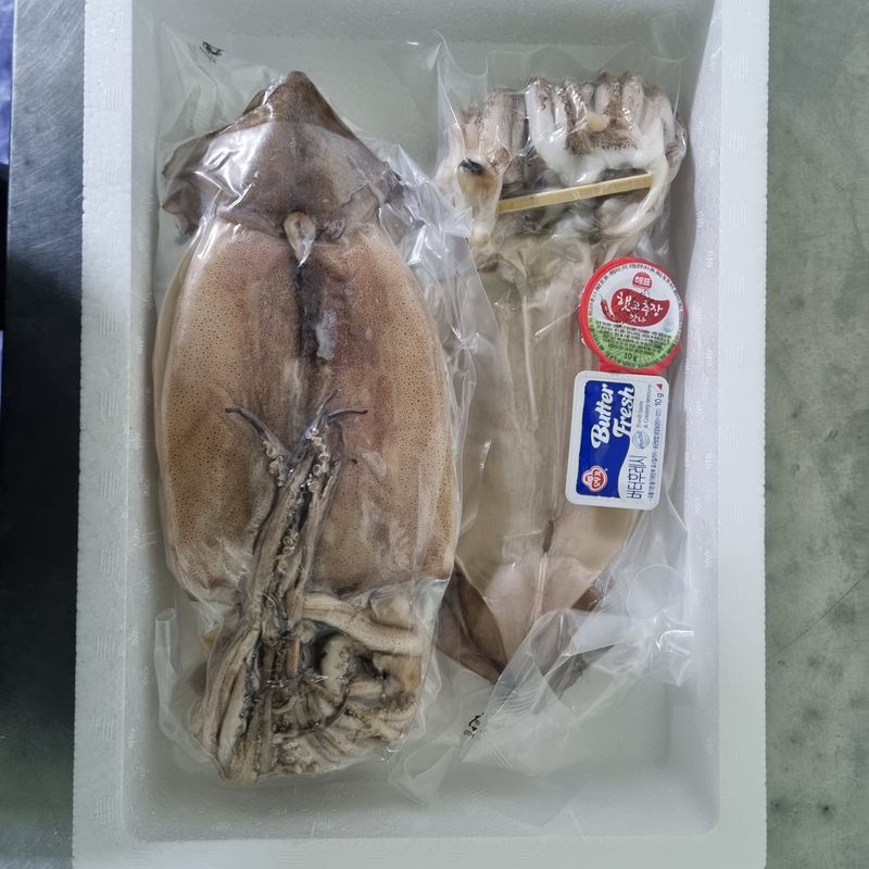 모어더더님의 장터 판매 상품 [[무료배송]구룡포 해풍 반건조 오징어 5미] 첨부 사진