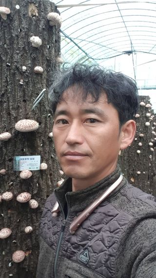 대호장작임업 님의 버섯 · 수확 작성글 사진