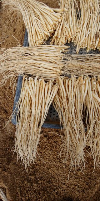 PERSEUSH님의 기타작물 · 자유게시판 작성글 사진