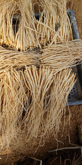 PERSEUSH님의 기타작물 · 자유게시판 작성글 사진