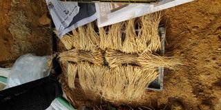 PERSEUSH님의 기타작물 · 자유게시판 작성글 사진