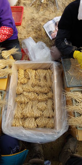 PERSEUSH님의 기타작물 · 자유게시판 작성글 사진