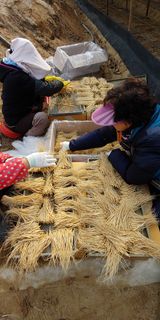 팜모닝 기타작물·자유게시판 게시글 이미지