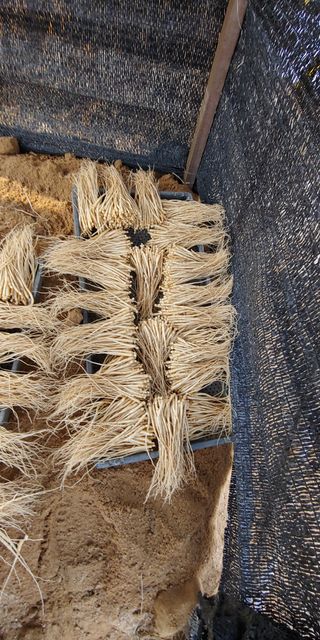 PERSEUSH님의 기타작물 · 자유게시판 작성글 사진