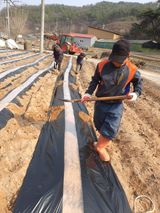 팜모닝 감자·자유게시판 게시글 이미지