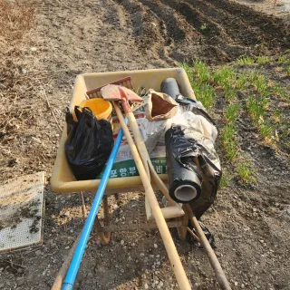 김찬우님의 감자 · 자유게시판 작성글 사진