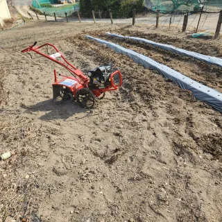 김찬우님의 감자 · 자유게시판 작성글 사진