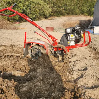 김찬우님의 감자 · 자유게시판 작성글 사진