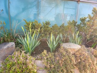 체리123님의 기타작물 · 자유게시판 작성글 사진