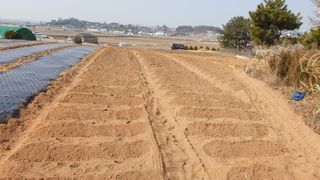 김영준님의 기타작물 · 자유게시판 작성글 사진