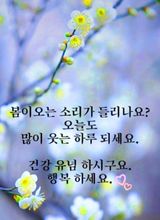팜모닝 자유주제·자유게시판 게시글 이미지