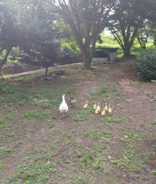 시금치15102님의 작성글 사진