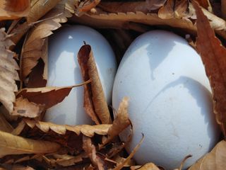 시금치15102님의 작성글 사진