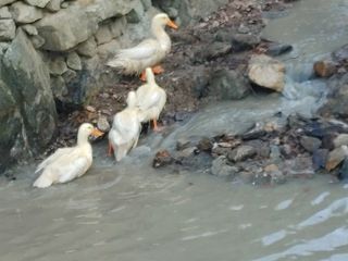 시금치15102님의 작성글 사진