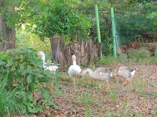 시금치15102님의 작성글 사진