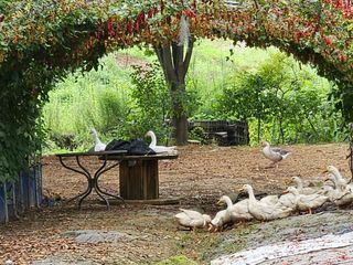 시금치15102님의 작성글 사진