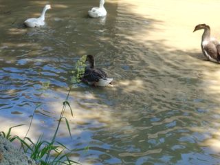 시금치15102님의 작성글 사진